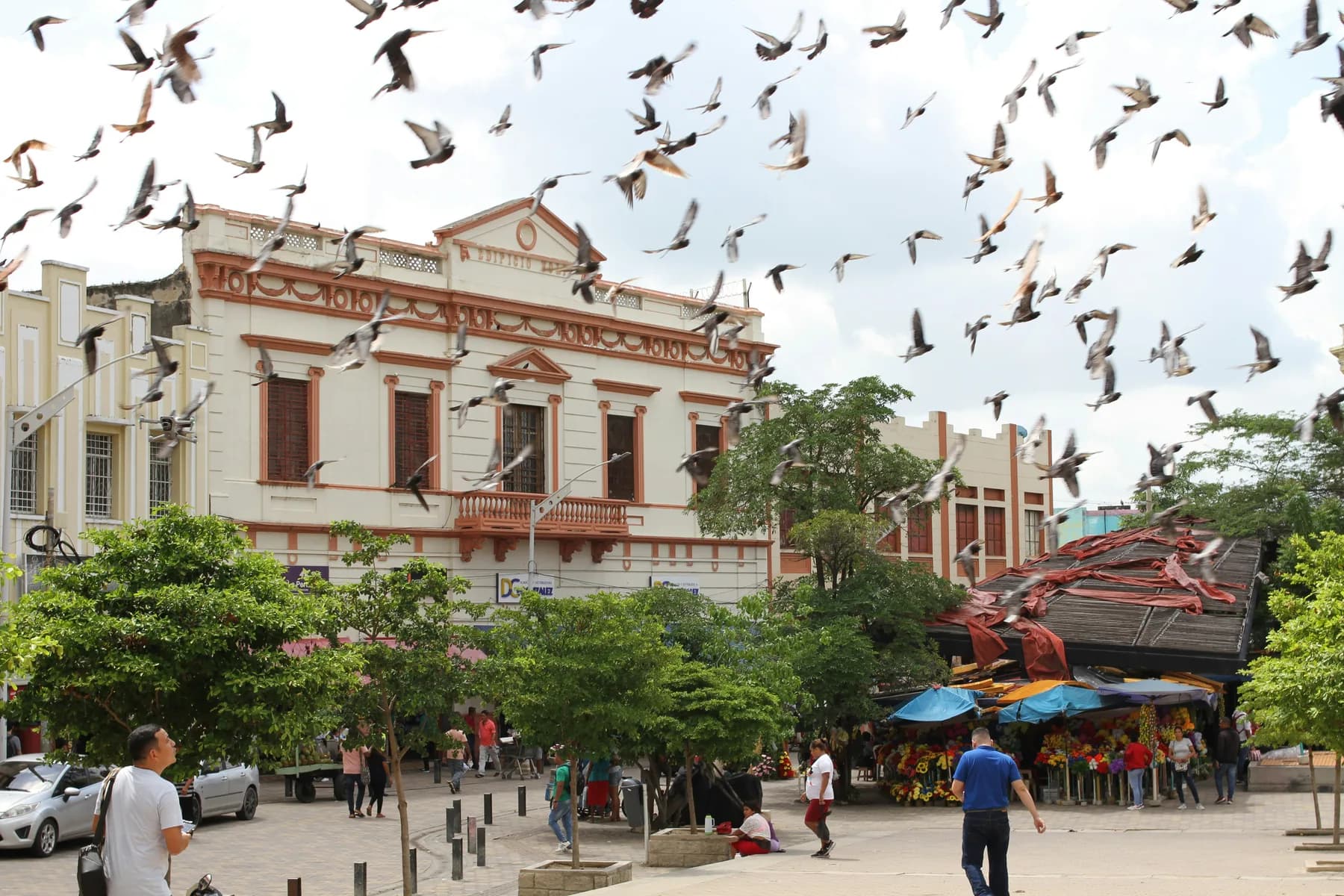 Pigeons fly above historic facades and trees at Plaza de San Nicolás in Barranquilla, Colombia.