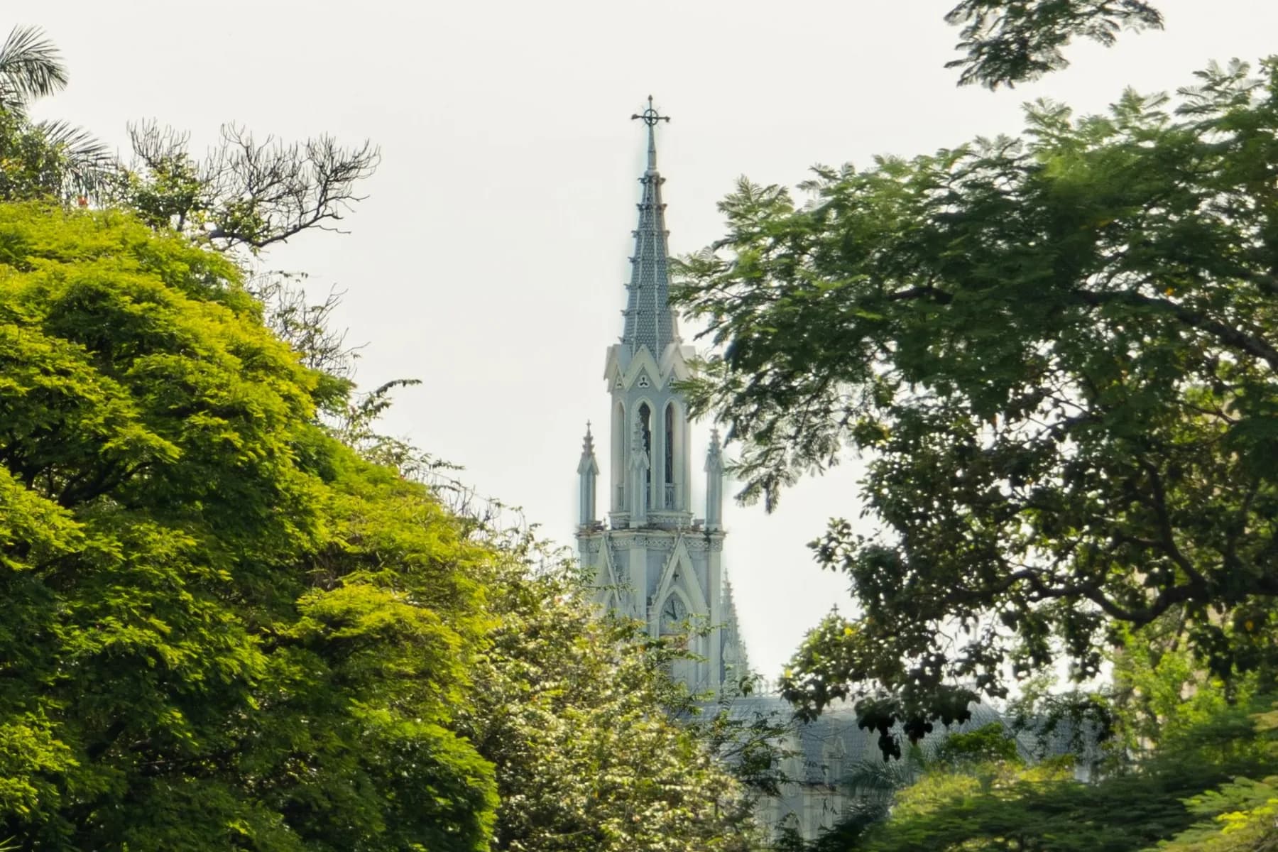 The pale blue spire and upper tower of Iglesia La Ermita framed by trees in Cali, Colombia.