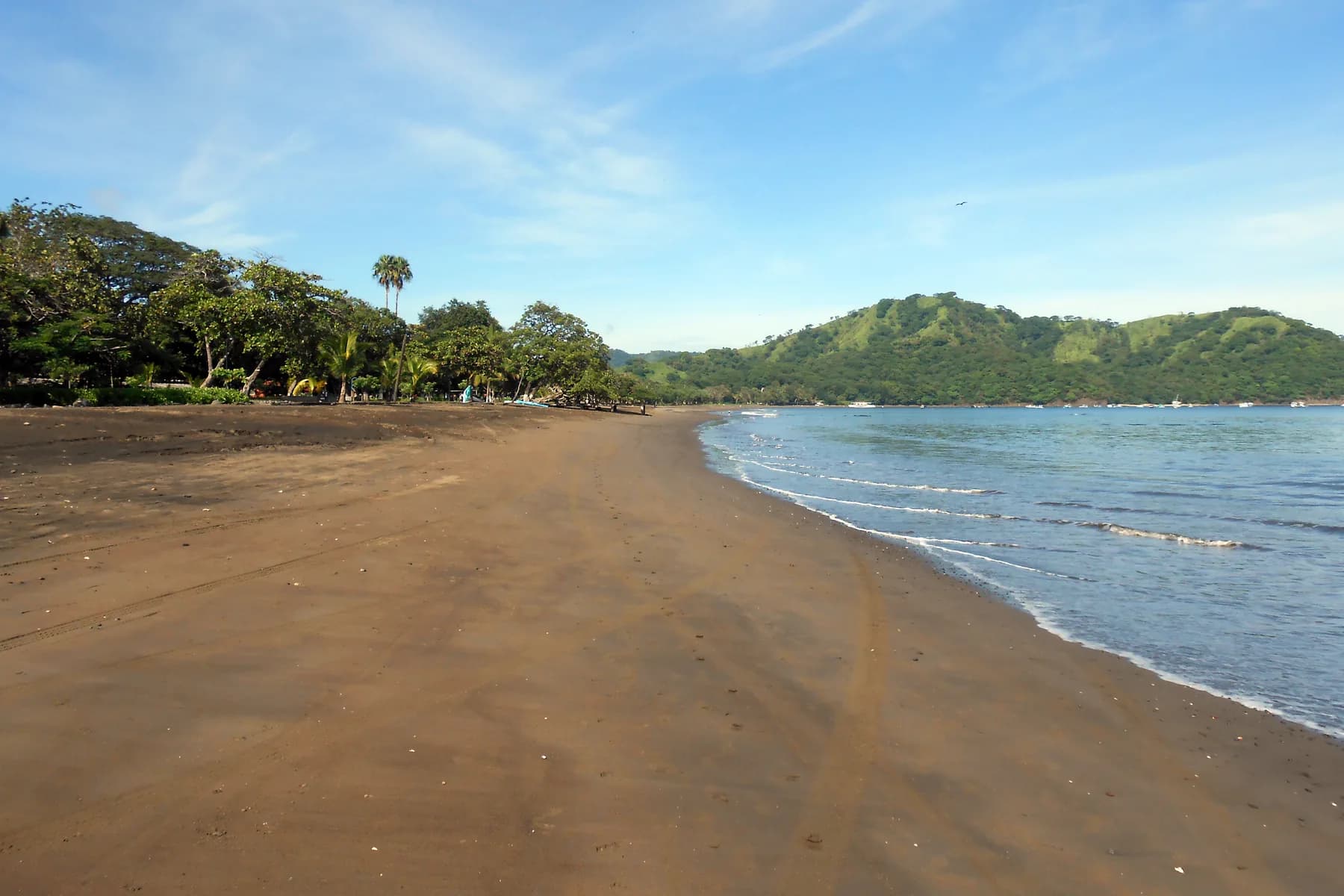The curved dark sand beach and green headland frame Playas del Coco in Guanacaste, Costa Rica.